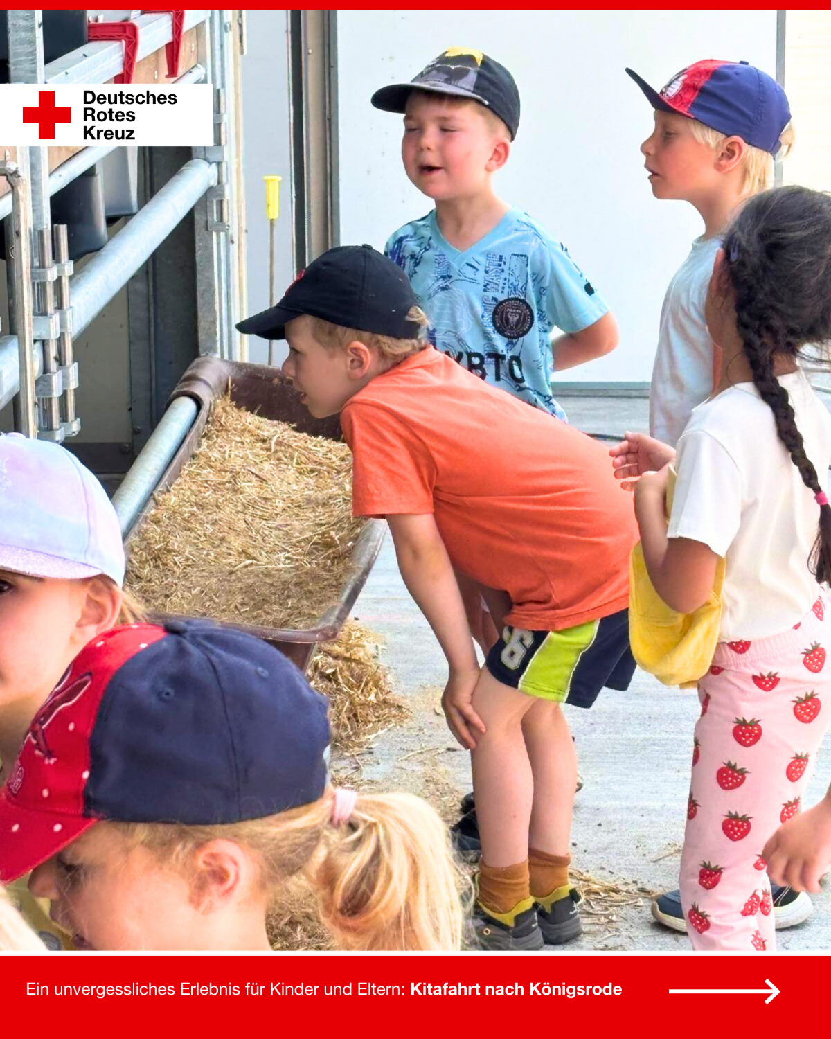 Kinder der DRK-Kita „Rasselbande“ beugen sich neugierig über einen Futtertrog und schauen in einen offenen Stallbereich.